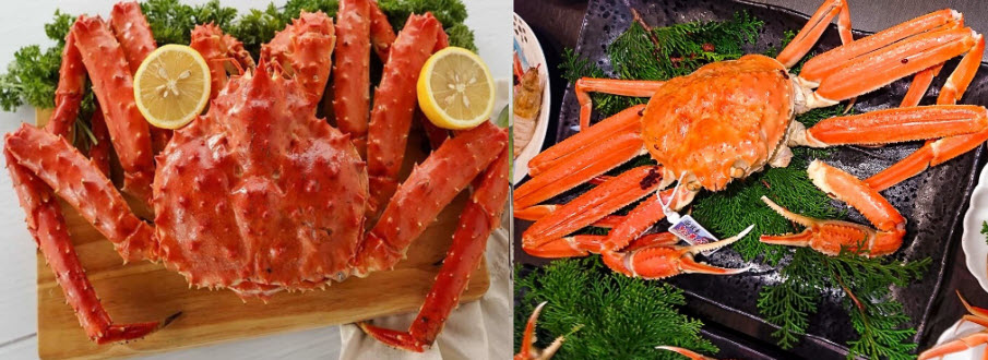 Cua hoàng đế (bên trái) và cua tuyết - bên phải